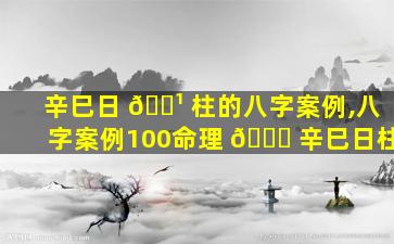 辛巳日 🌹 柱的八字案例,八字案例100命理 🐝 辛巳日柱